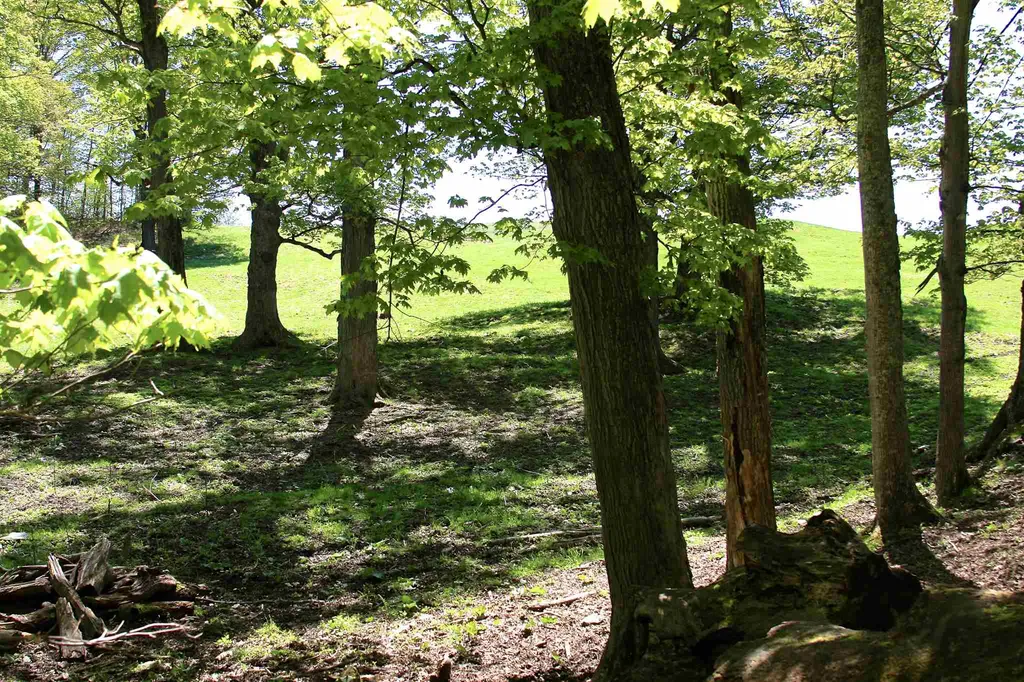 21 Burbank Crossover Road Chelsea VT 05038