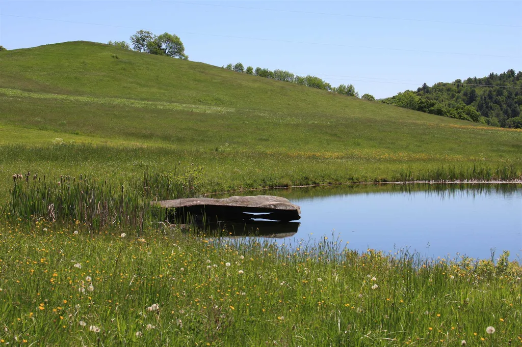 21 Burbank Crossover Road Chelsea VT 05038