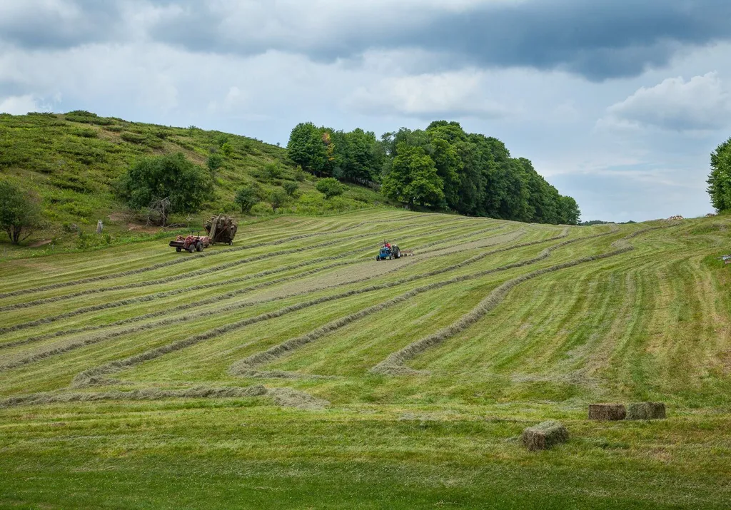 21 Burbank Crossover Road Chelsea VT 05038