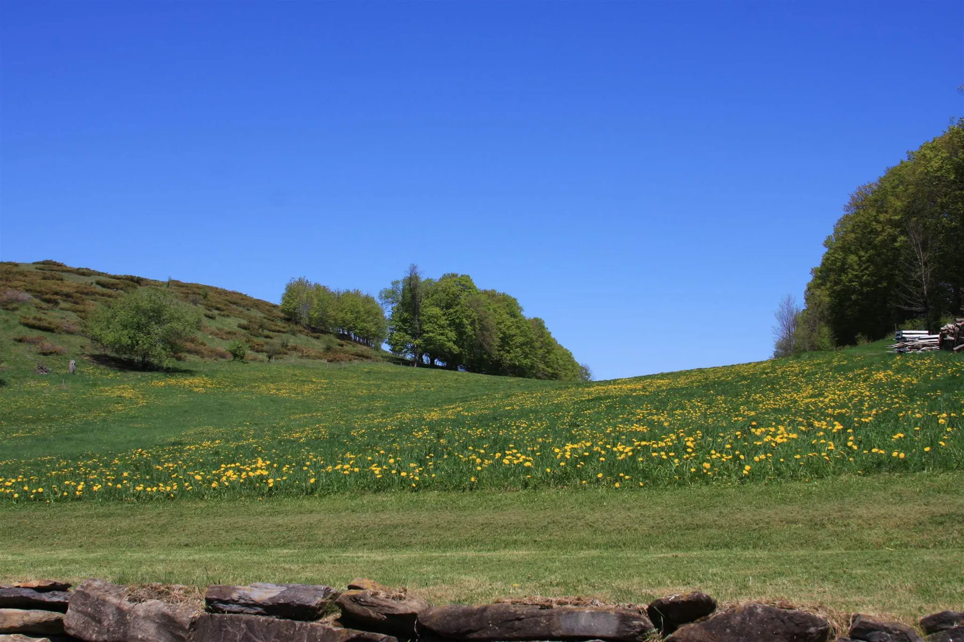 21 Burbank Crossover Road Chelsea VT 05038