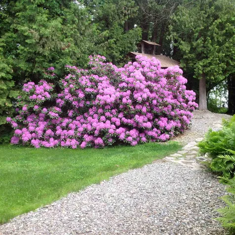 490 Fowler Lane Isle La Motte VT 05463