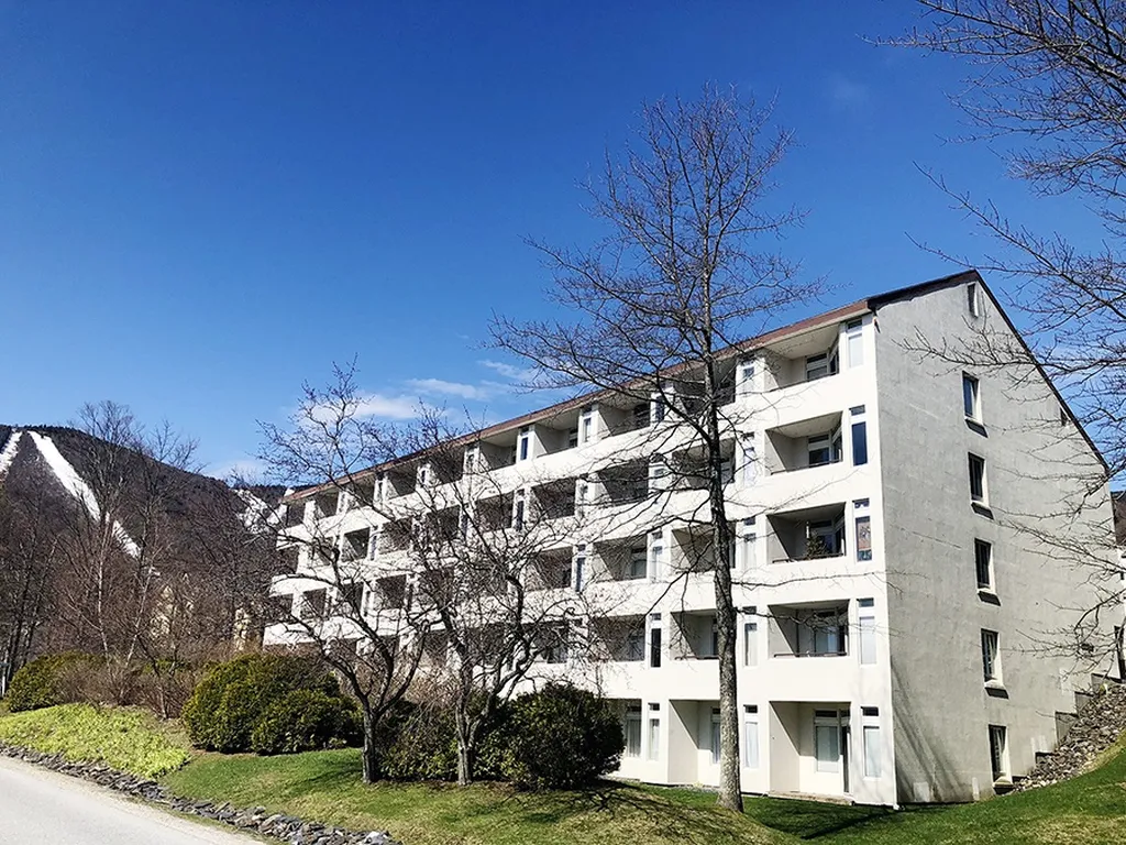401 Village Gate Drive Warren VT 05674