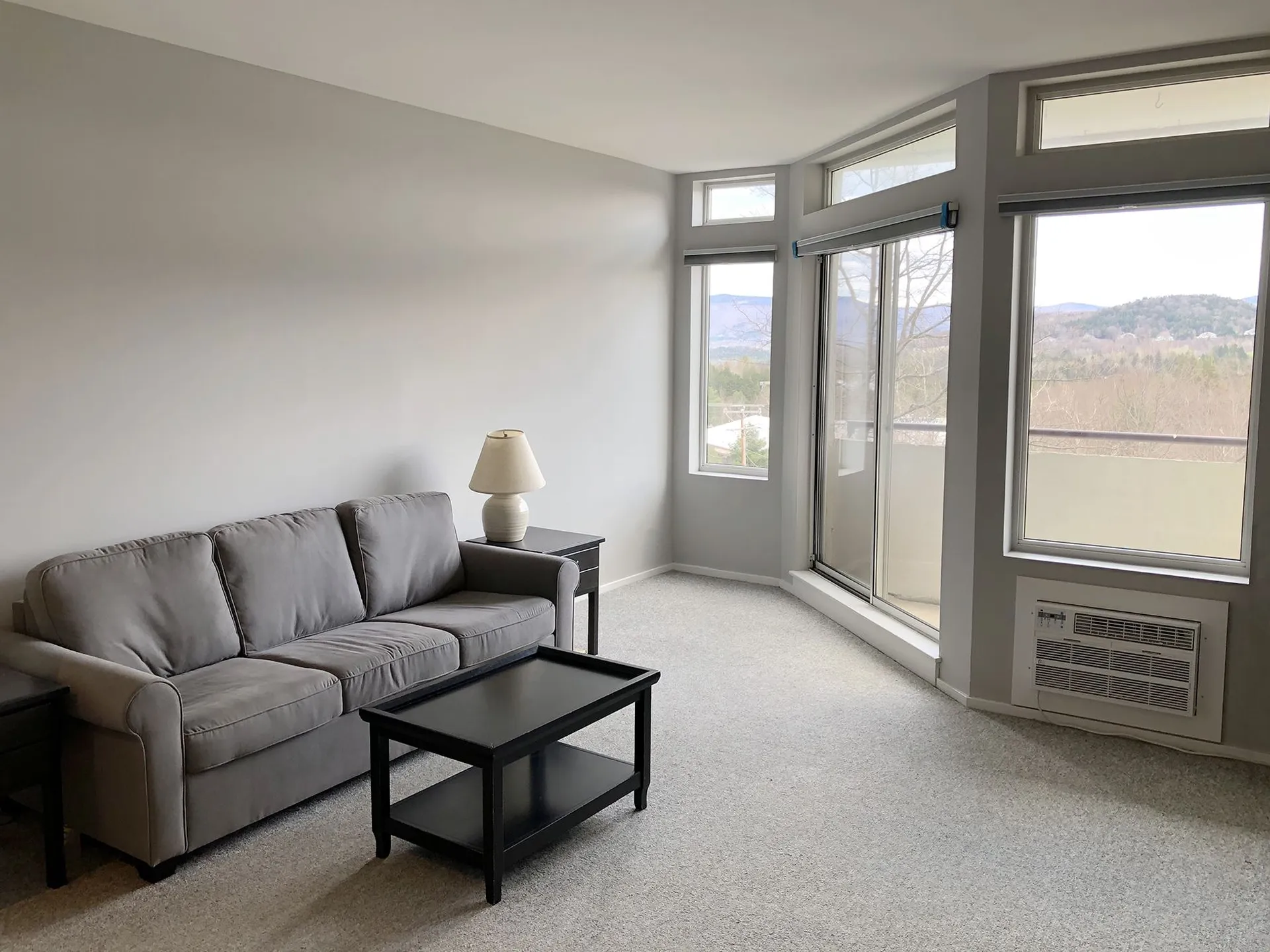 401 Village Gate Drive Warren VT 05674