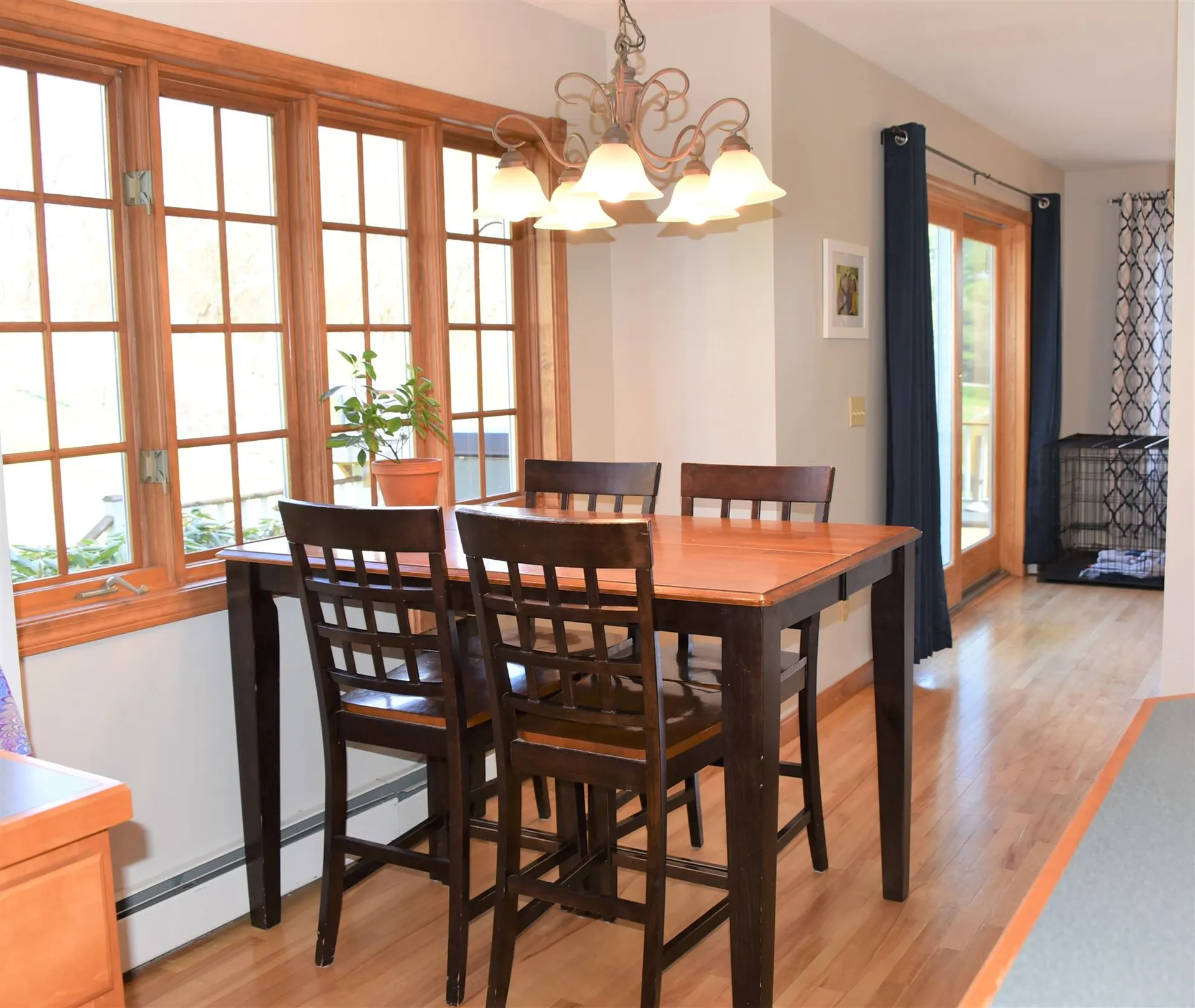 16 Meadow Drive Jericho VT 05465