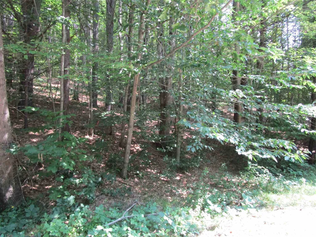 32 Harold Avery Road Ashland NH 03217