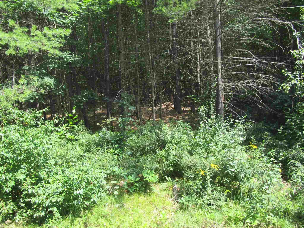 32 Harold Avery Road Ashland NH 03217