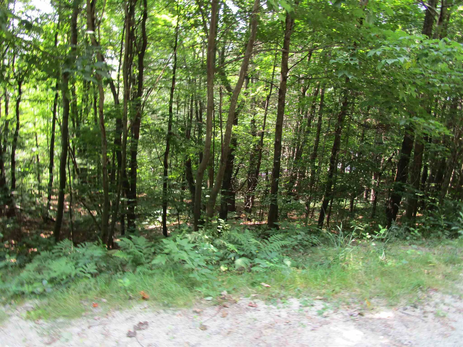 32 Harold Avery Road Ashland NH 03217