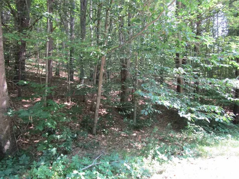 32 Harold Avery Road Ashland NH 03217