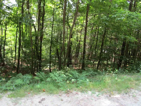 32 Harold Avery Road Ashland NH 03217