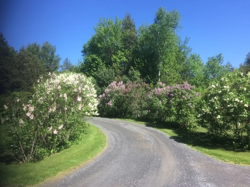 97 Winch Hill Road Langdon NH 03602