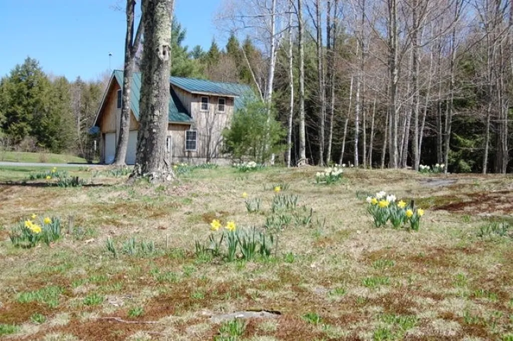 97 Winch Hill Road Langdon NH 03602