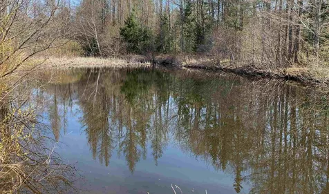 3056 Shunpike Road Mount Holly VT 05758