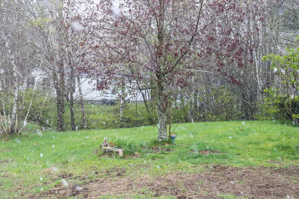 24 Agent Road Raymond NH 03077