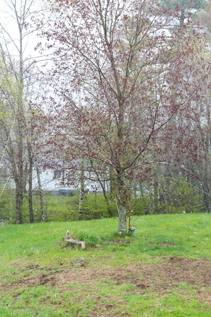 24 Agent Road Raymond NH 03077