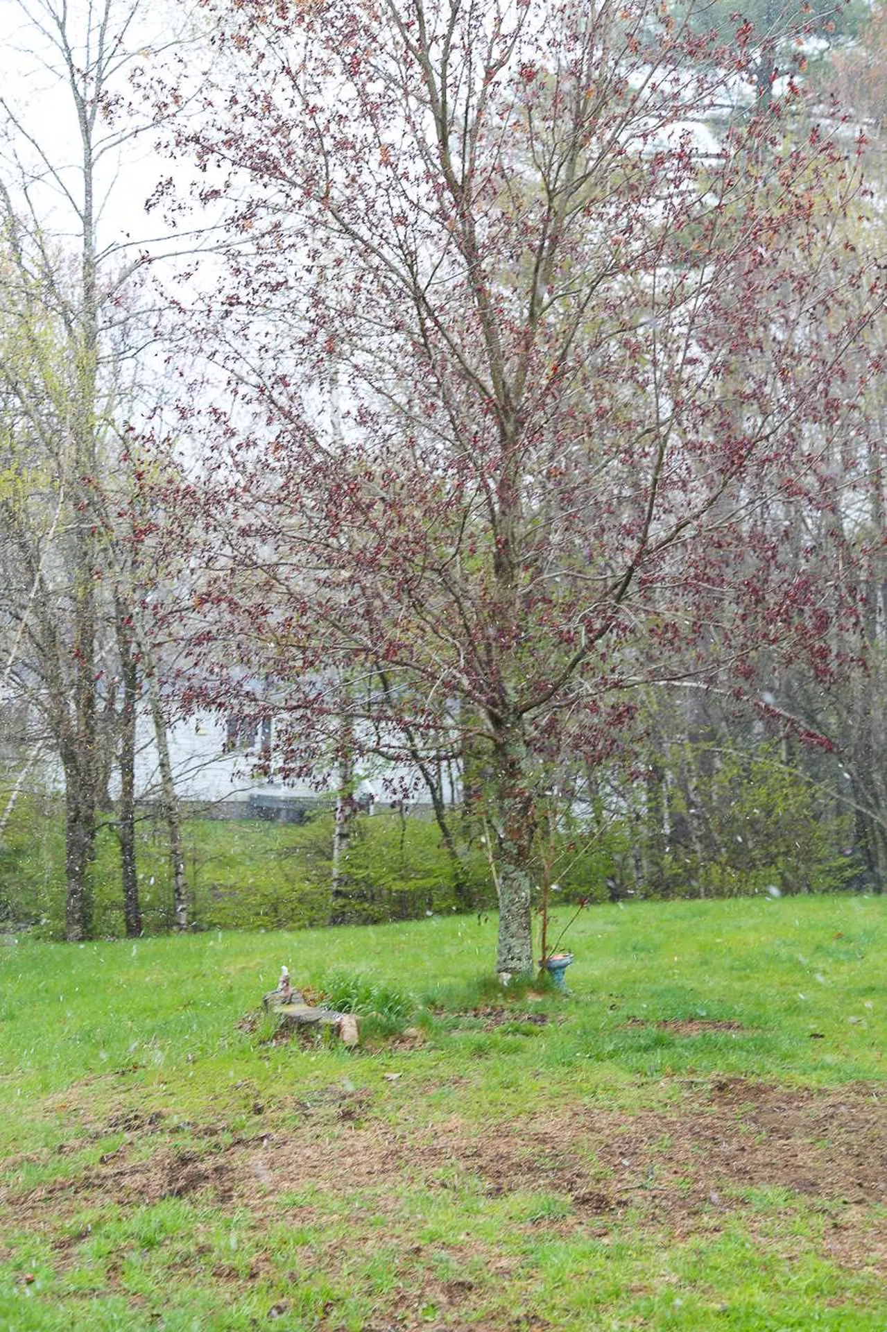 24 Agent Road Raymond NH 03077
