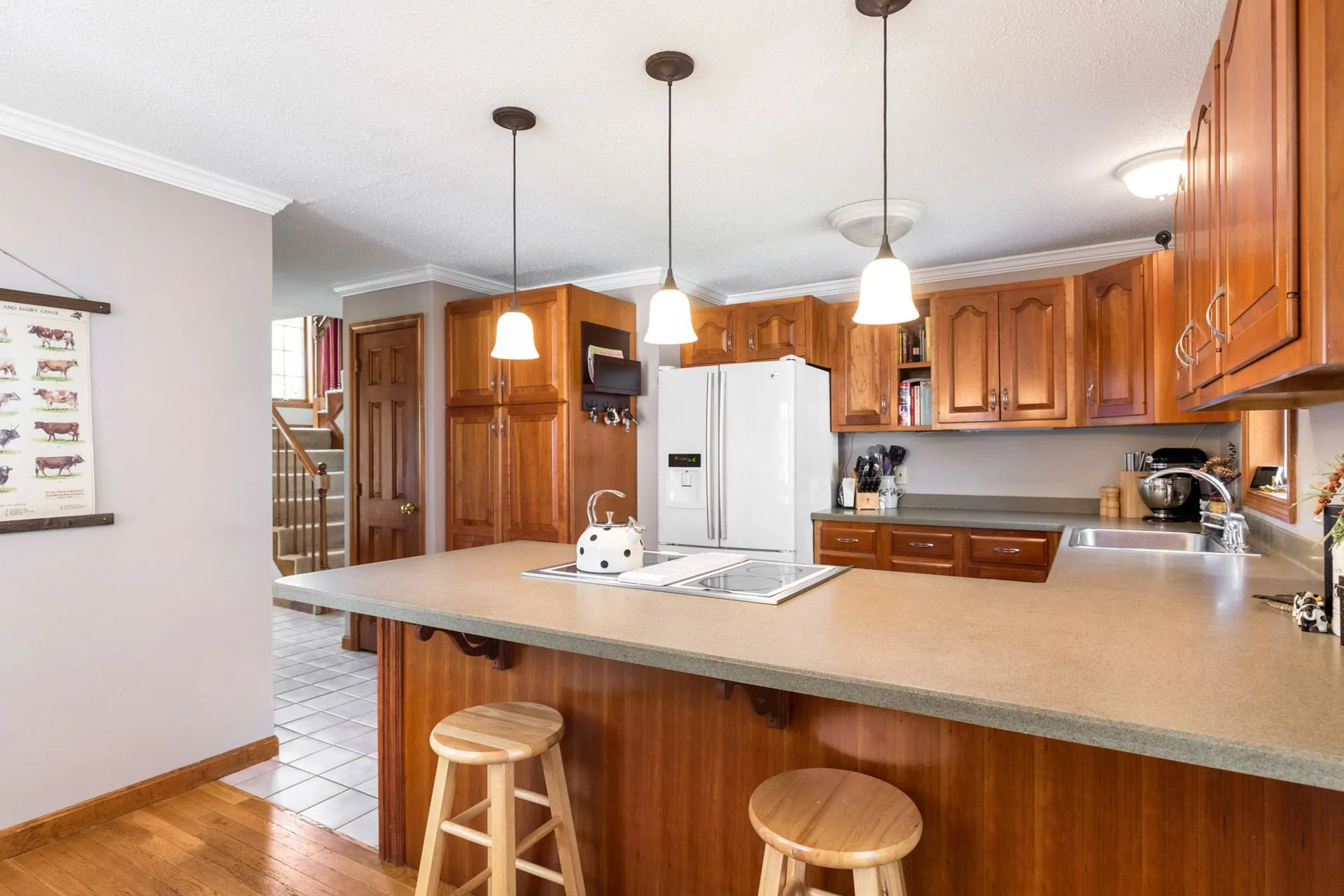 8 Victoria Circle Rochester NH 03867