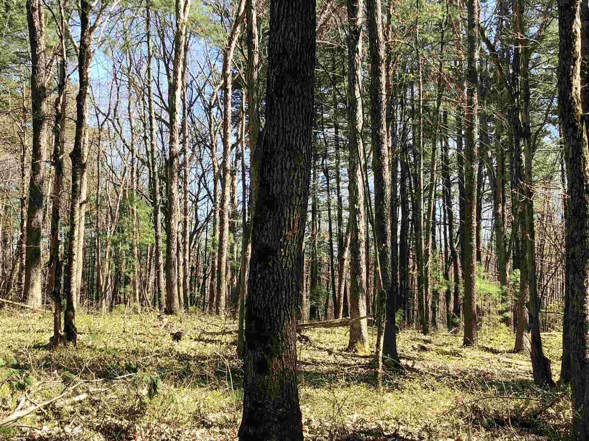 7 Nartoff Road Hollis NH 03049