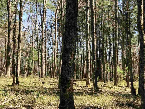 7 Nartoff Road Hollis NH 03049