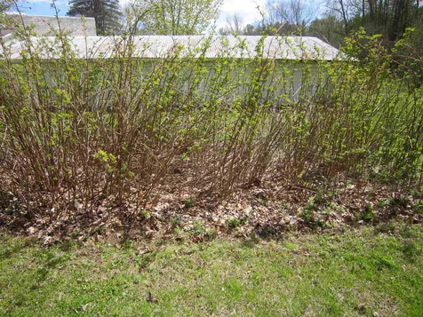 1156 Western Avenue Brattleboro VT 05301