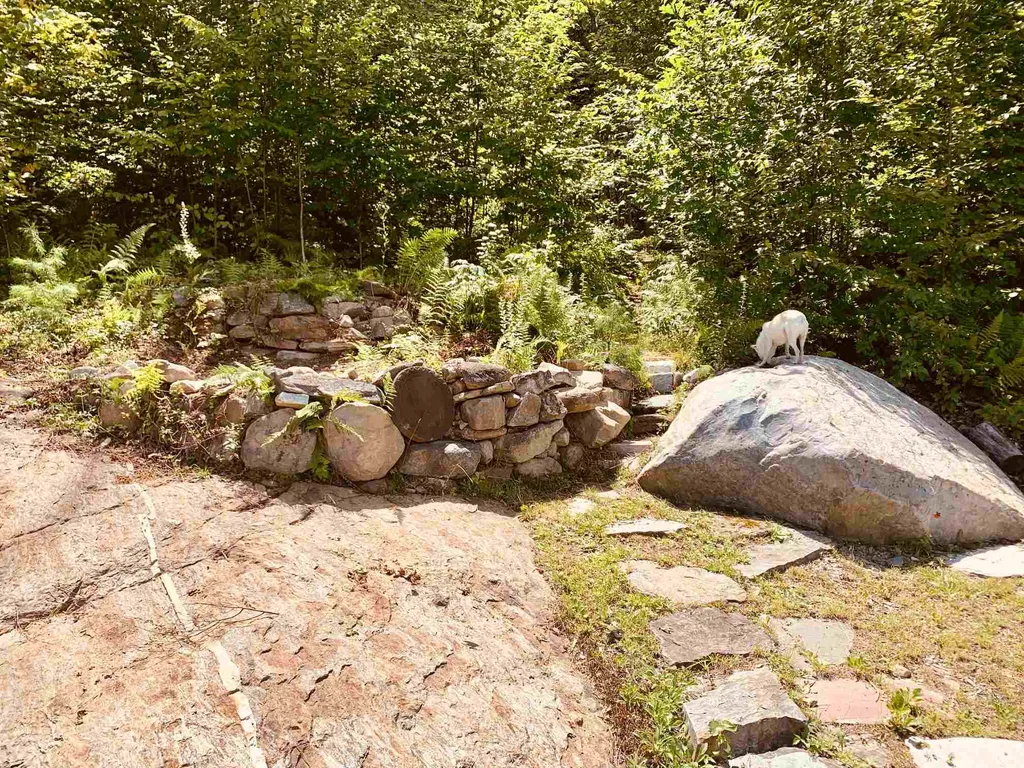 202 Robbins Cross Road Ripton VT 05766