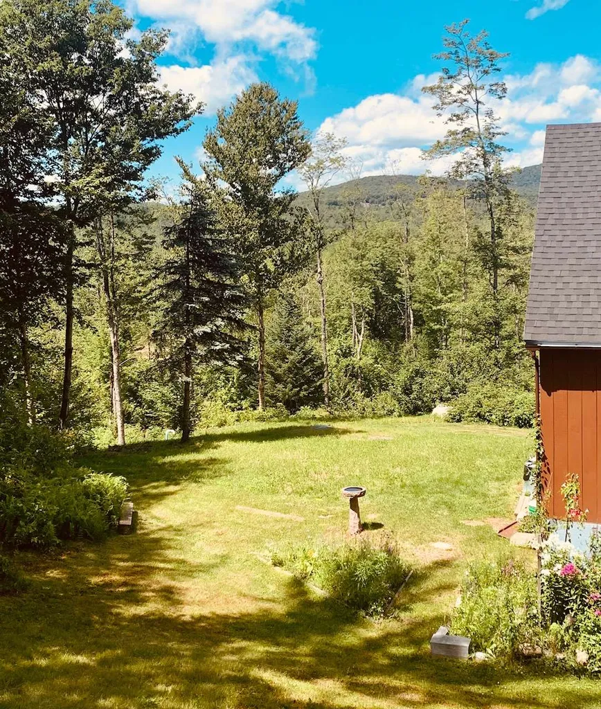 202 Robbins Cross Road Ripton VT 05766