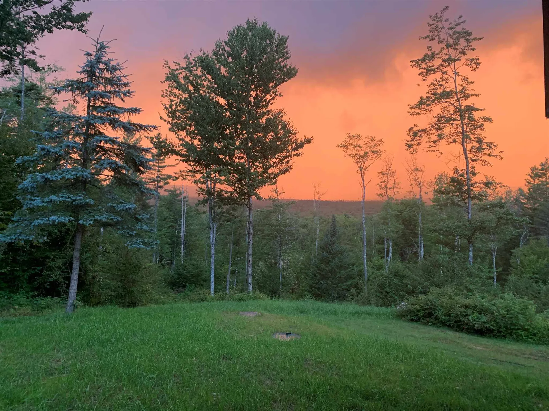 202 Robbins Cross Road Ripton VT 05766