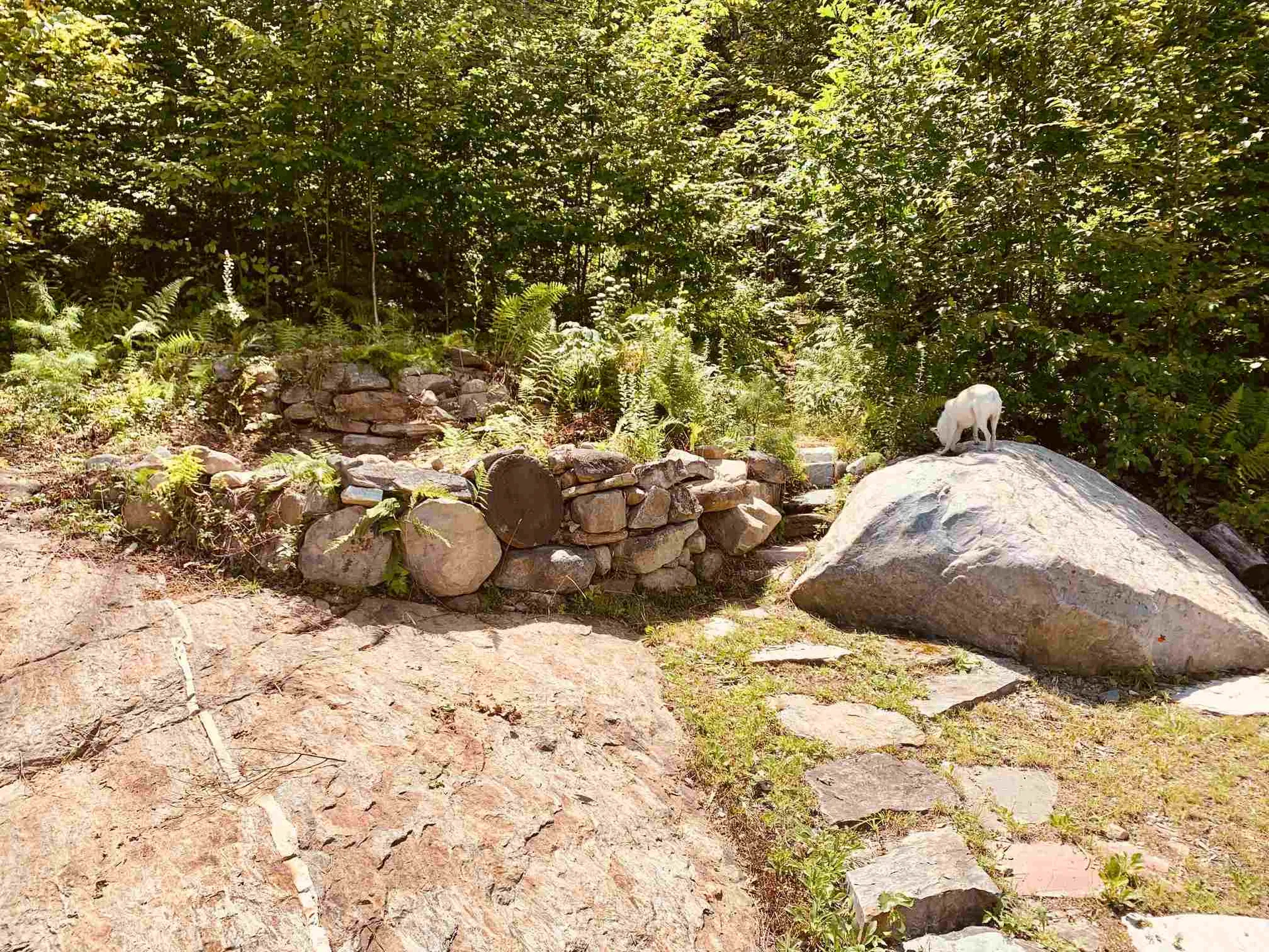 202 Robbins Cross Road Ripton VT 05766