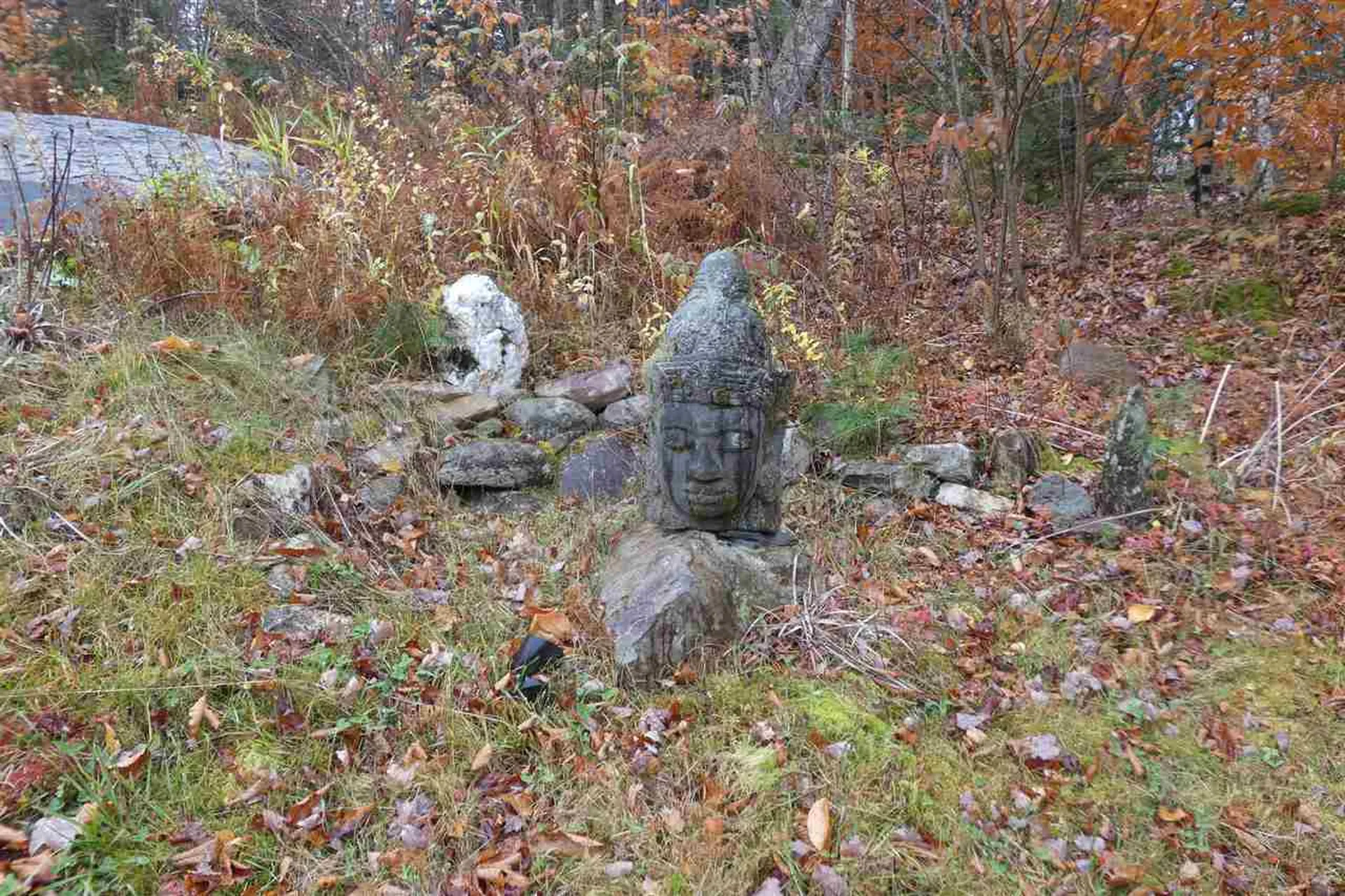202 Robbins Cross Road Ripton VT 05766