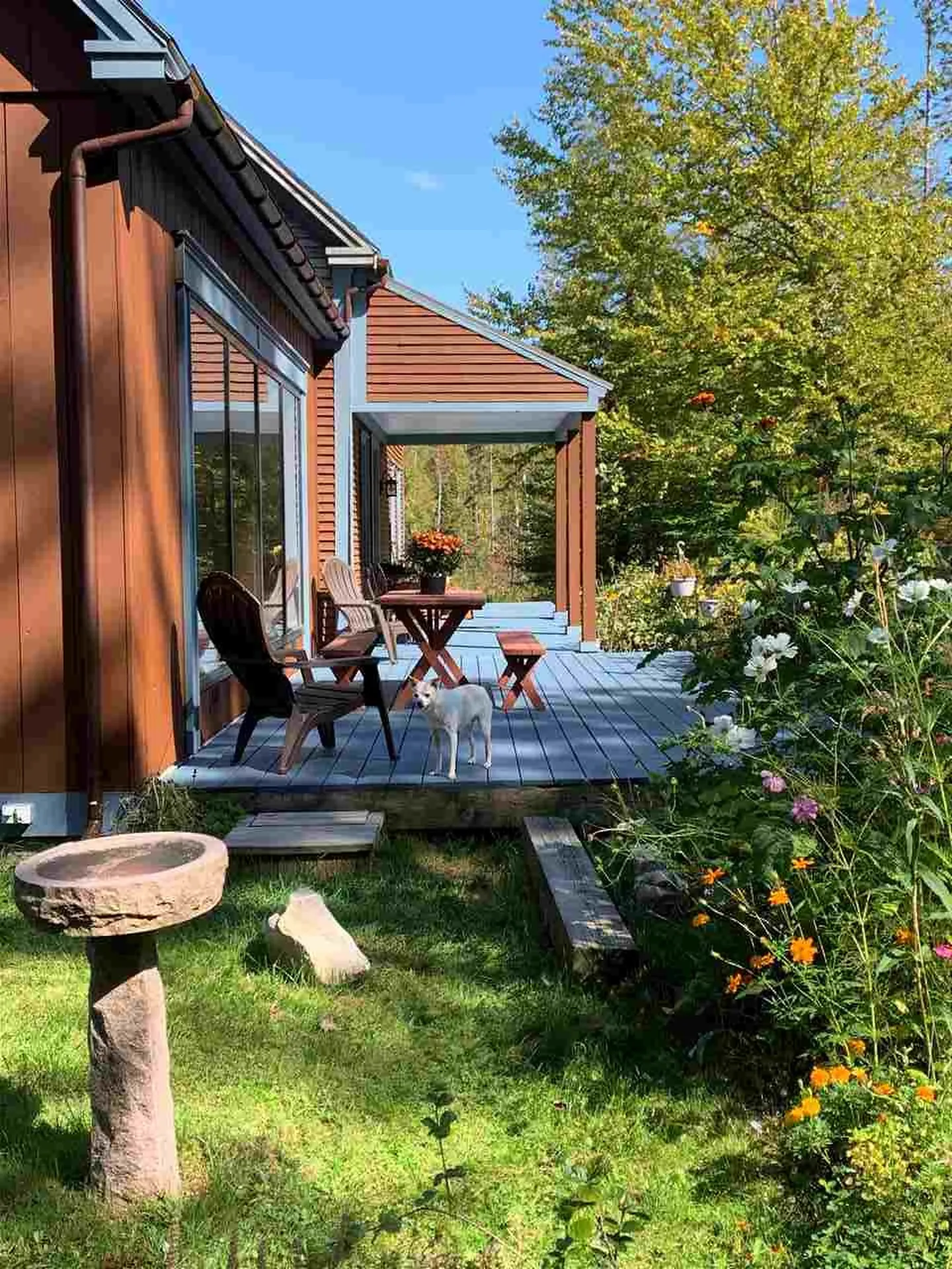 202 Robbins Cross Road Ripton VT 05766