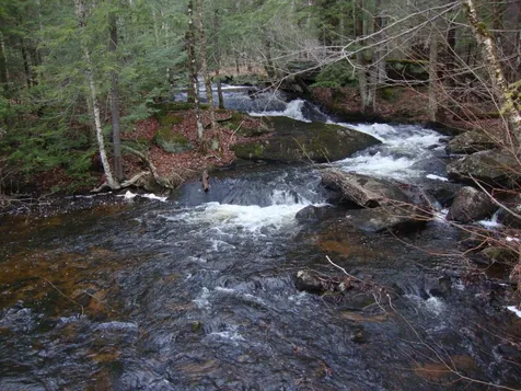 Hominy Pot Road Sutton NH 03260