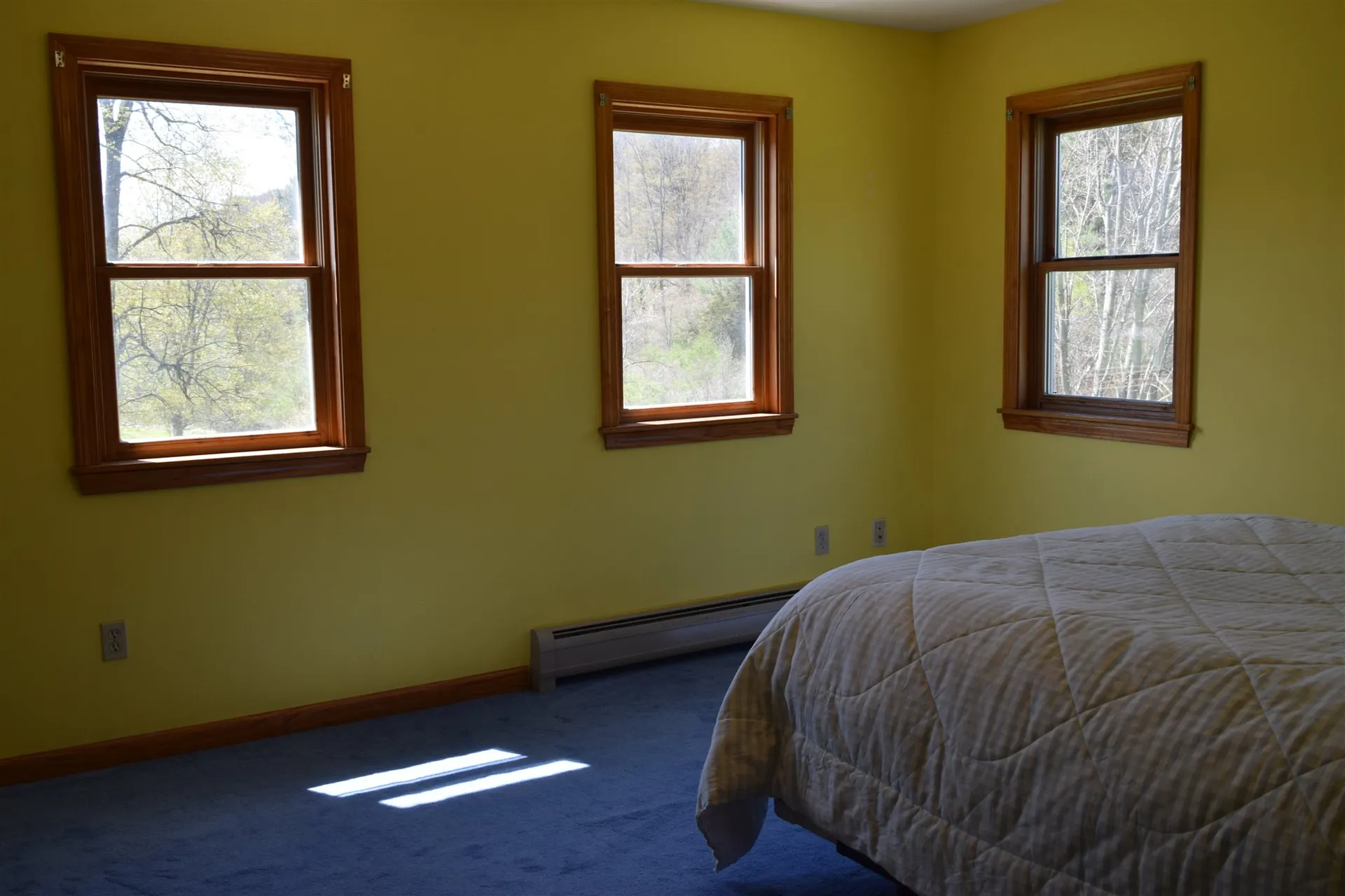 95 Stetson Road Bristol VT 05443