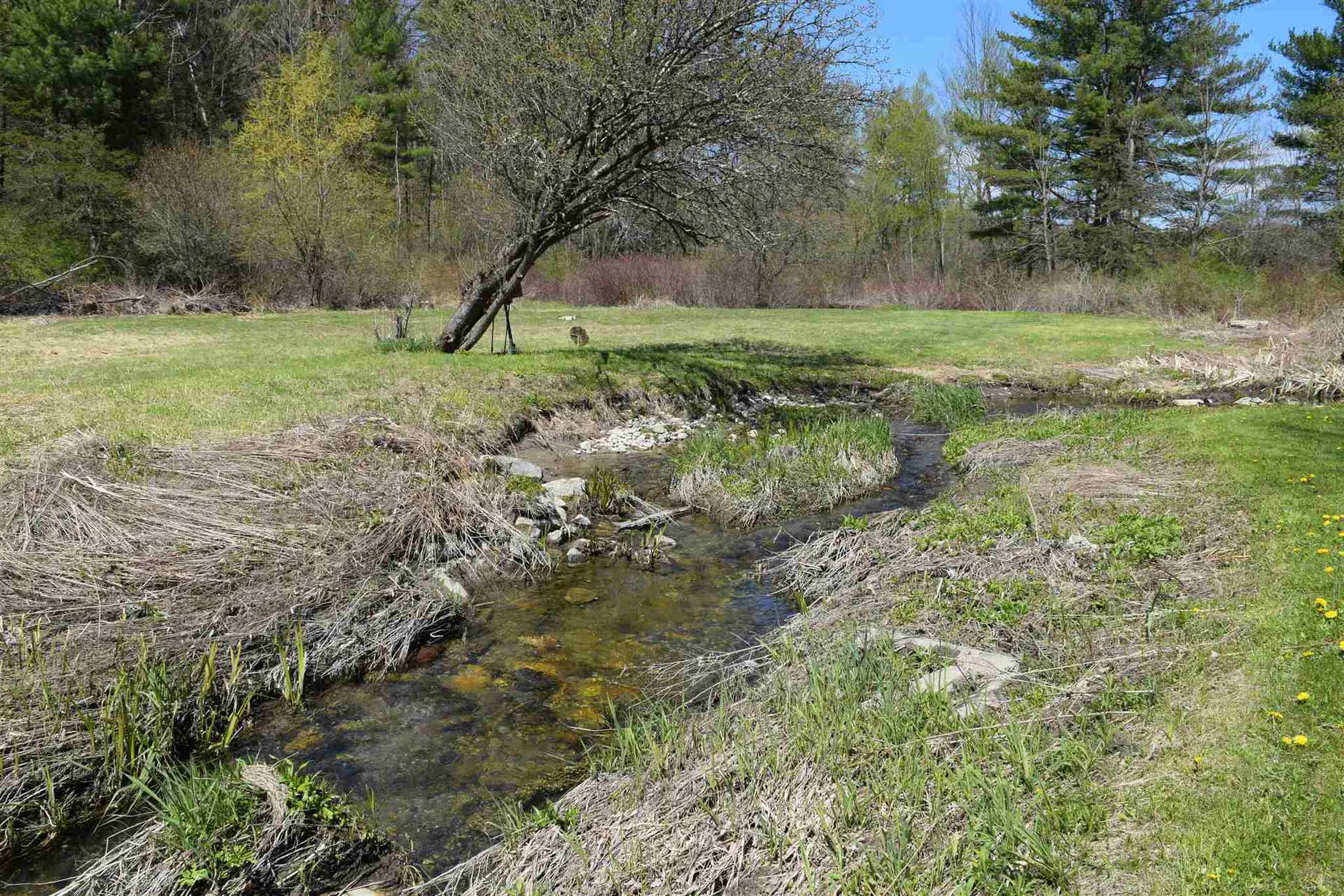 95 Stetson Road Bristol VT 05443