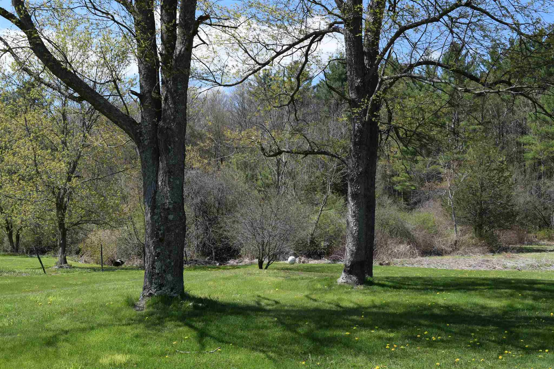95 Stetson Road Bristol VT 05443