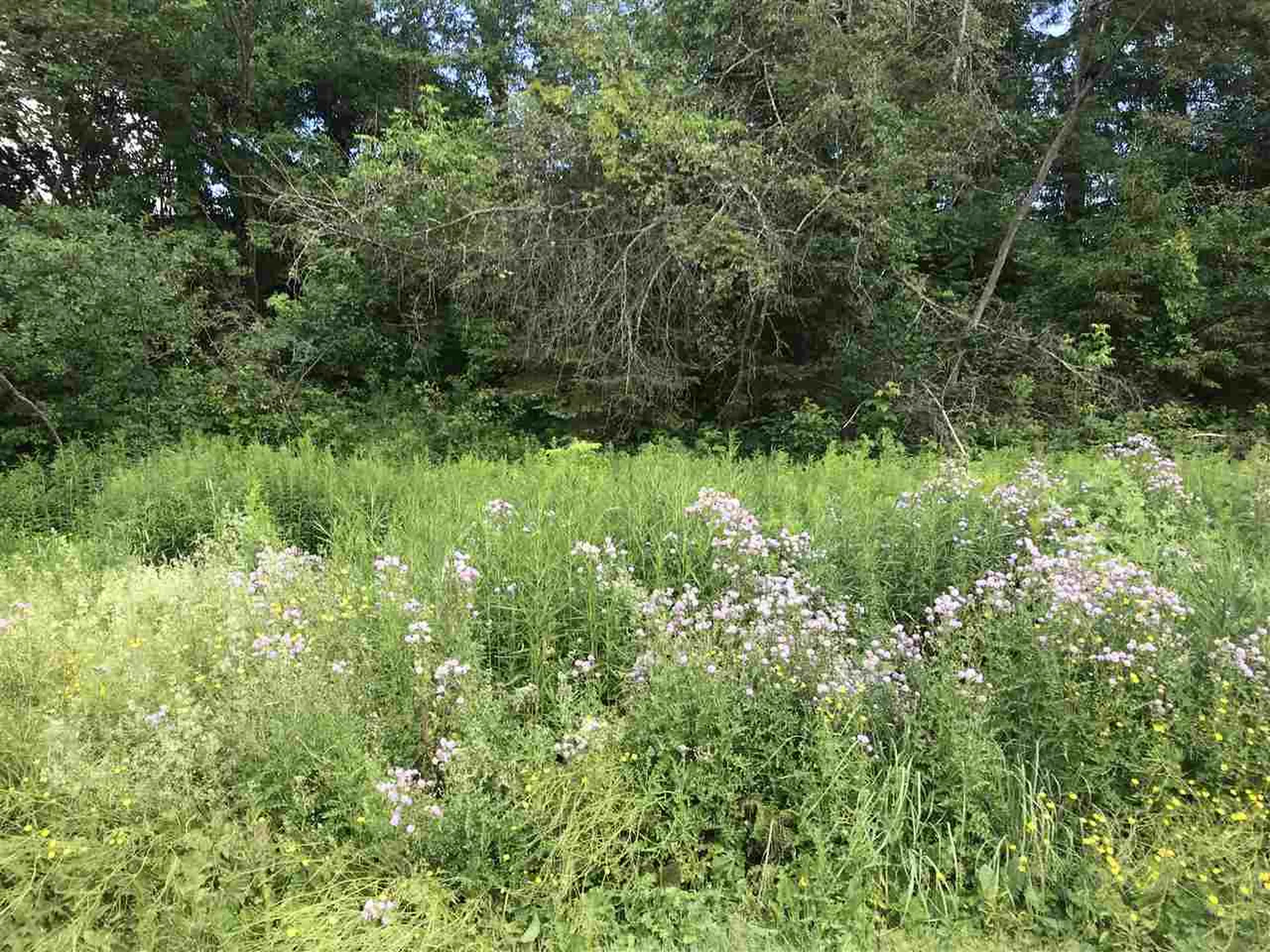 251 Power House Road Canaan VT 05903