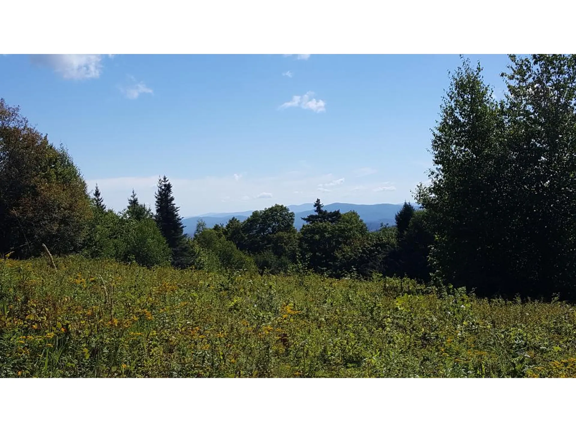 154 Church Hill Road Alexandria NH 03222