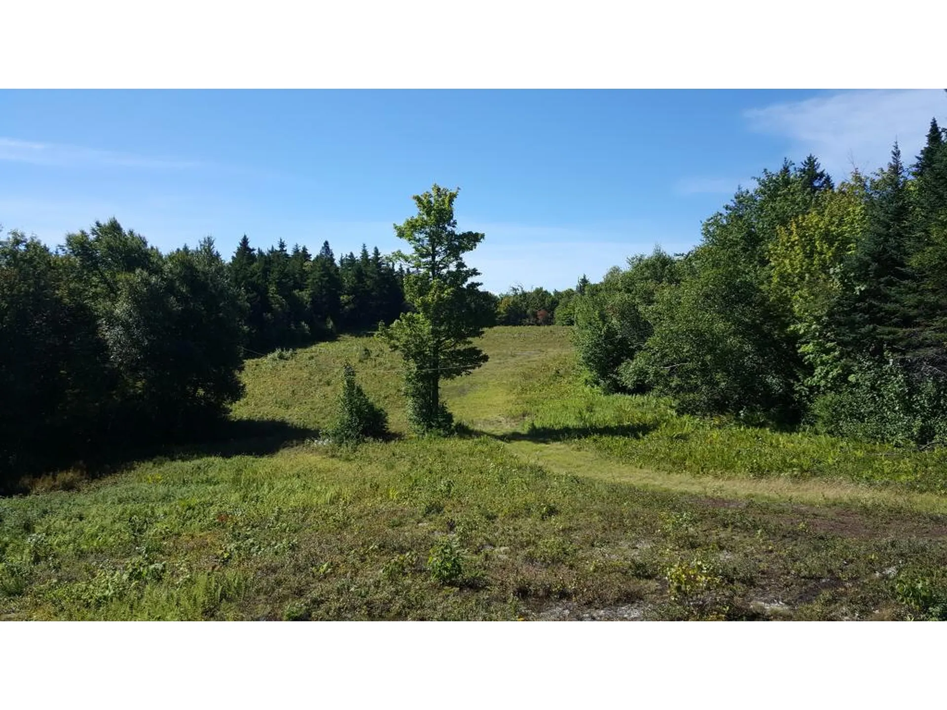 154 Church Hill Road Alexandria NH 03222