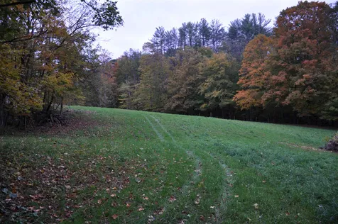 Lot 20, Map 60 Mudgett Hill Road Loudon NH 03307