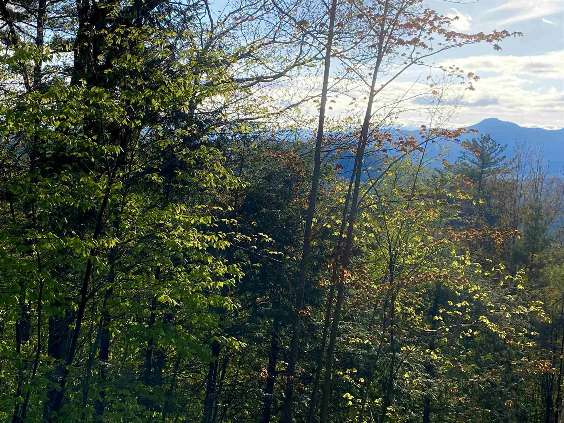 22 Aspen Drive Madison NH 03849
