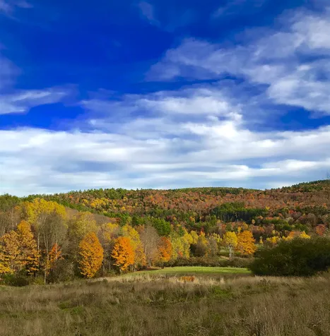 322 Cote Road Grantham NH 03753
