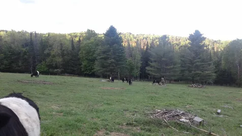 3361 Upper Road Plainfield VT 05667-9645