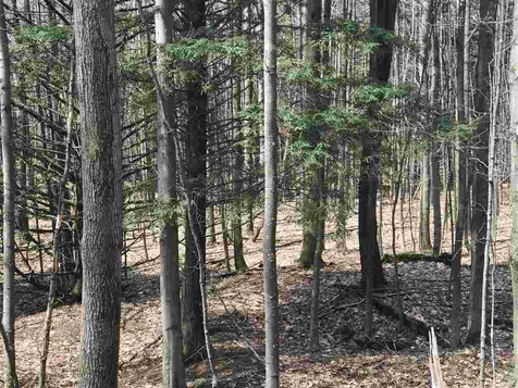 00 Regan Road Montgomery VT 05471