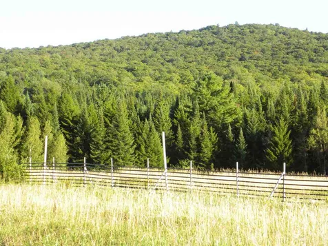 496 Mcallister Road Lowell VT 05847