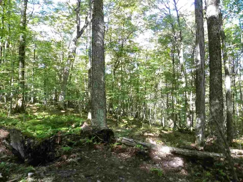 496 Mcallister Road Lowell VT 05847