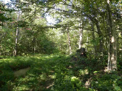 496 Mcallister Road Lowell VT 05847