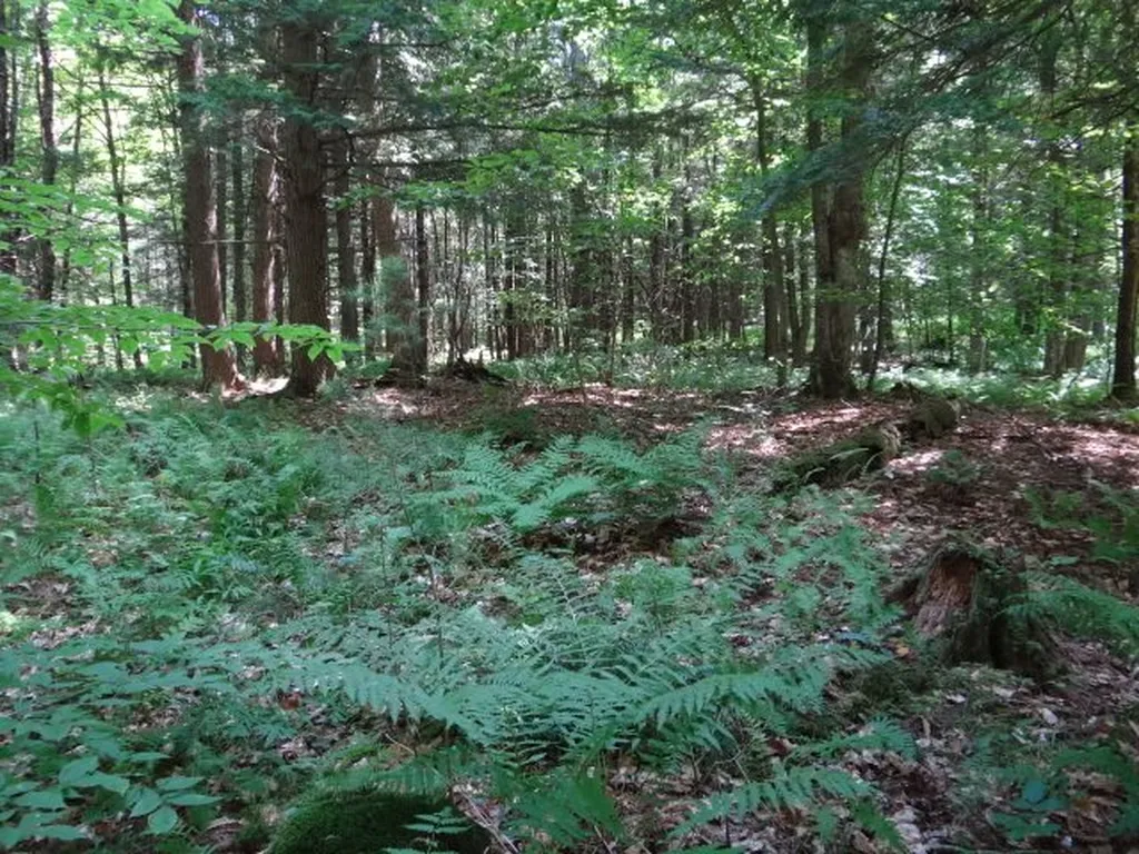 0a Benjamin Road Hartford VT 05001
