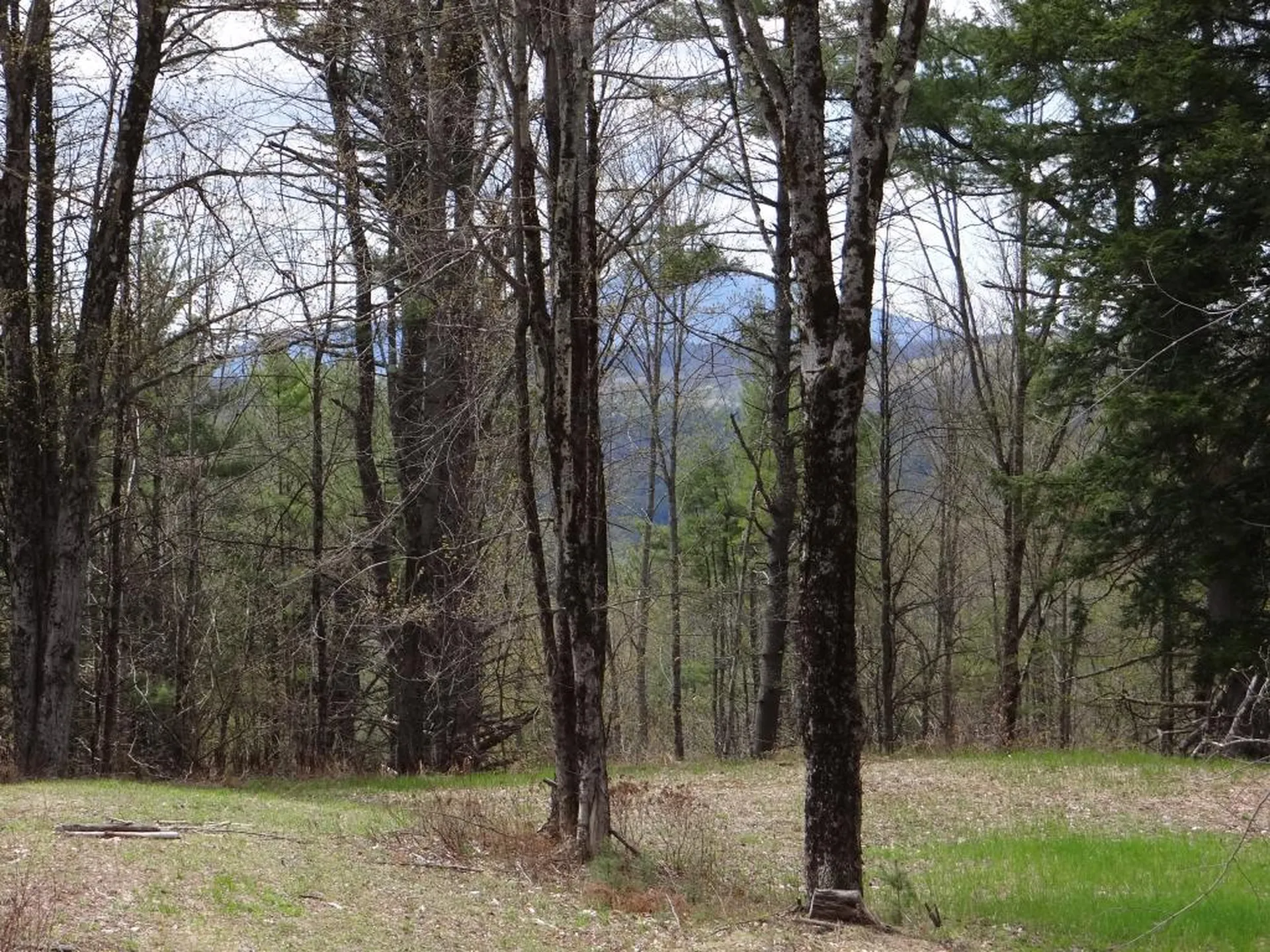 0a Benjamin Road Hartford VT 05001