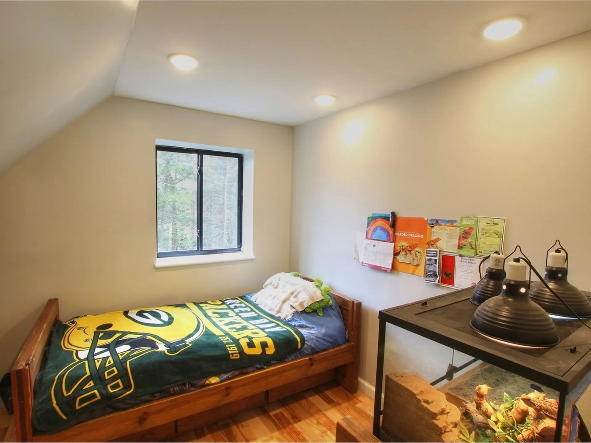 41 Leary Road Jericho VT 05465