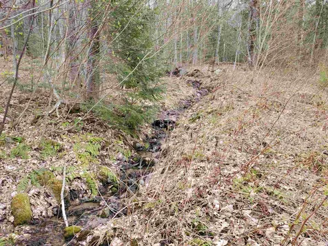 Lot U Spring Hill Road Campton NH 03223