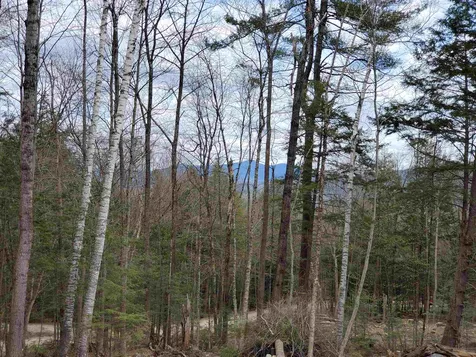 Lot U Spring Hill Road Campton NH 03223