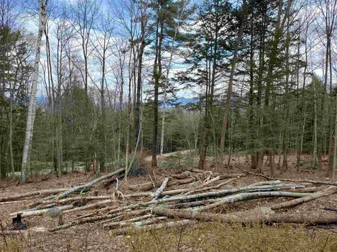 Lot U Spring Hill Road Campton NH 03223